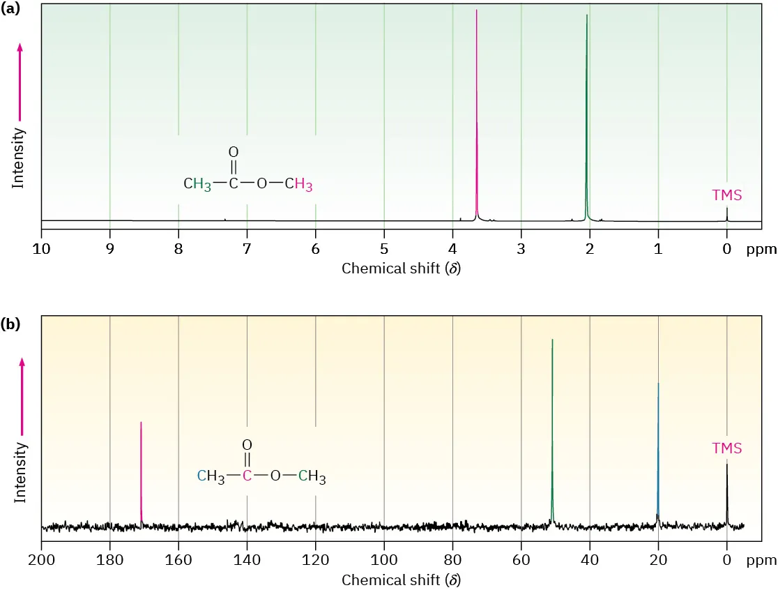1 H N M R spectrum of methyl acetate shows peaks at 2 and 3.7. 13-C N M R spectrum of methyl acetate shows peaks at 20, 52, and 172.