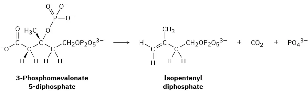 The reaction of 3-phosphomevalonate 5-diphosphate forms three products: isopentenyl diphosphate, carbon dioxide, and phosphate.