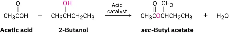 In a reaction, acetic acid reacts with 2-butanol in the presence of acid catalyst to form secondary-butyl acetate and water.