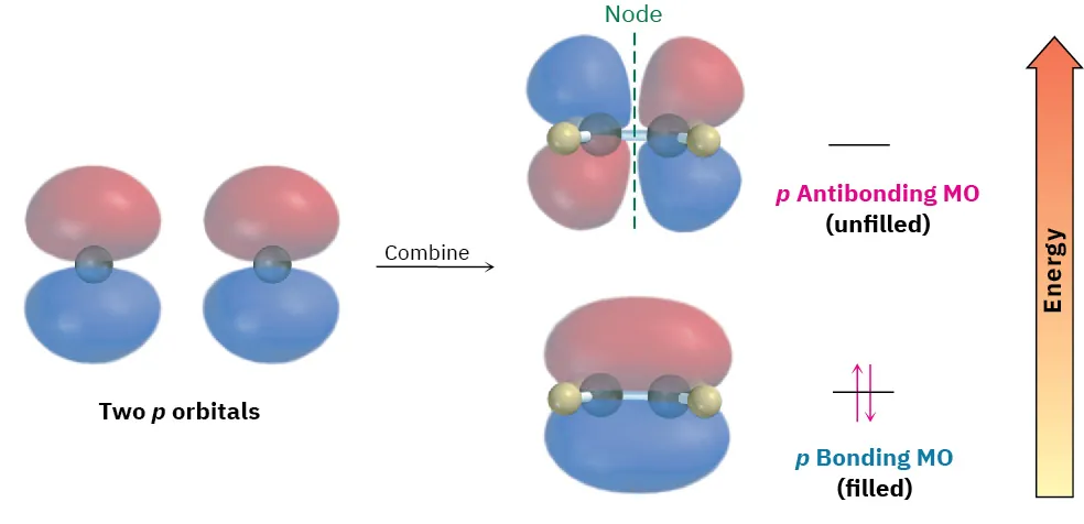 The formation of antibonding (with node) and bonding molecular orbitals from two p orbitals. The antibonding M O is unfilled and the bonding M O has a pair of electrons.