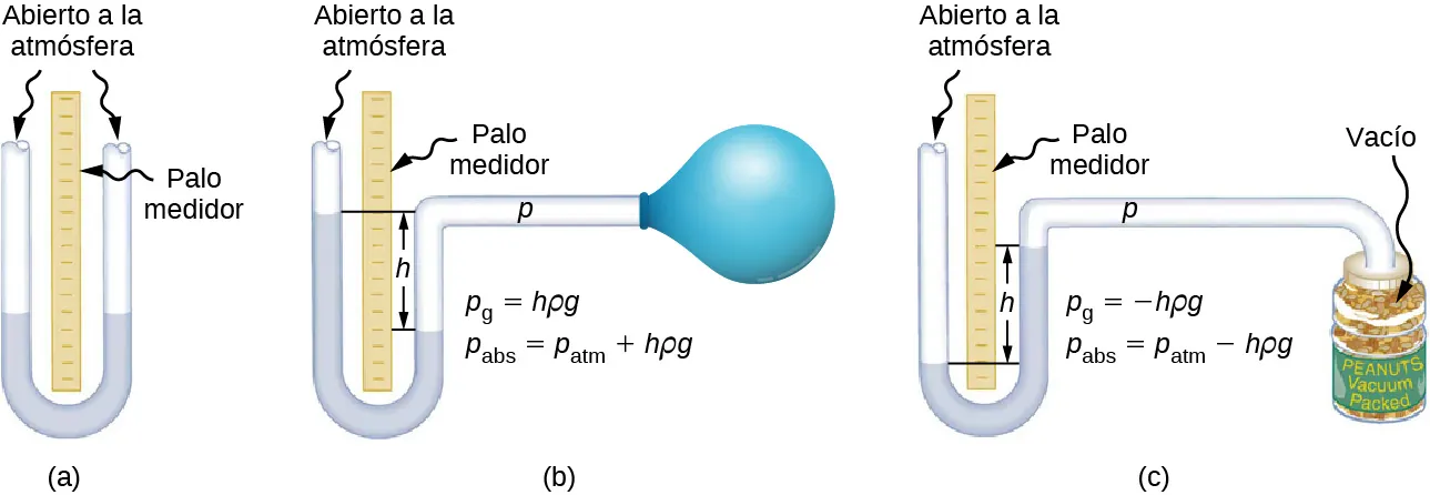 La figura A es un dibujo esquemático de un manómetro de tubo abierto que tiene ambos lados abiertos a la atmósfera. El nivel del agua está a una altura idéntica en ambos lados. La figura B es un dibujo esquemático de un manómetro de tubo abierto que tiene un lado abierto a la atmósfera y el segundo lado conectado al globo de aire. El nivel del agua es más alto en el lado abierto a la atmósfera. La figura C es un dibujo esquemático de un manómetro de tubo abierto que tiene un lado abierto a la atmósfera y el segundo lado conectado a una lata de cacahuetes envasados al vacío. El nivel del agua es más bajo en el lado abierto a la atmósfera.