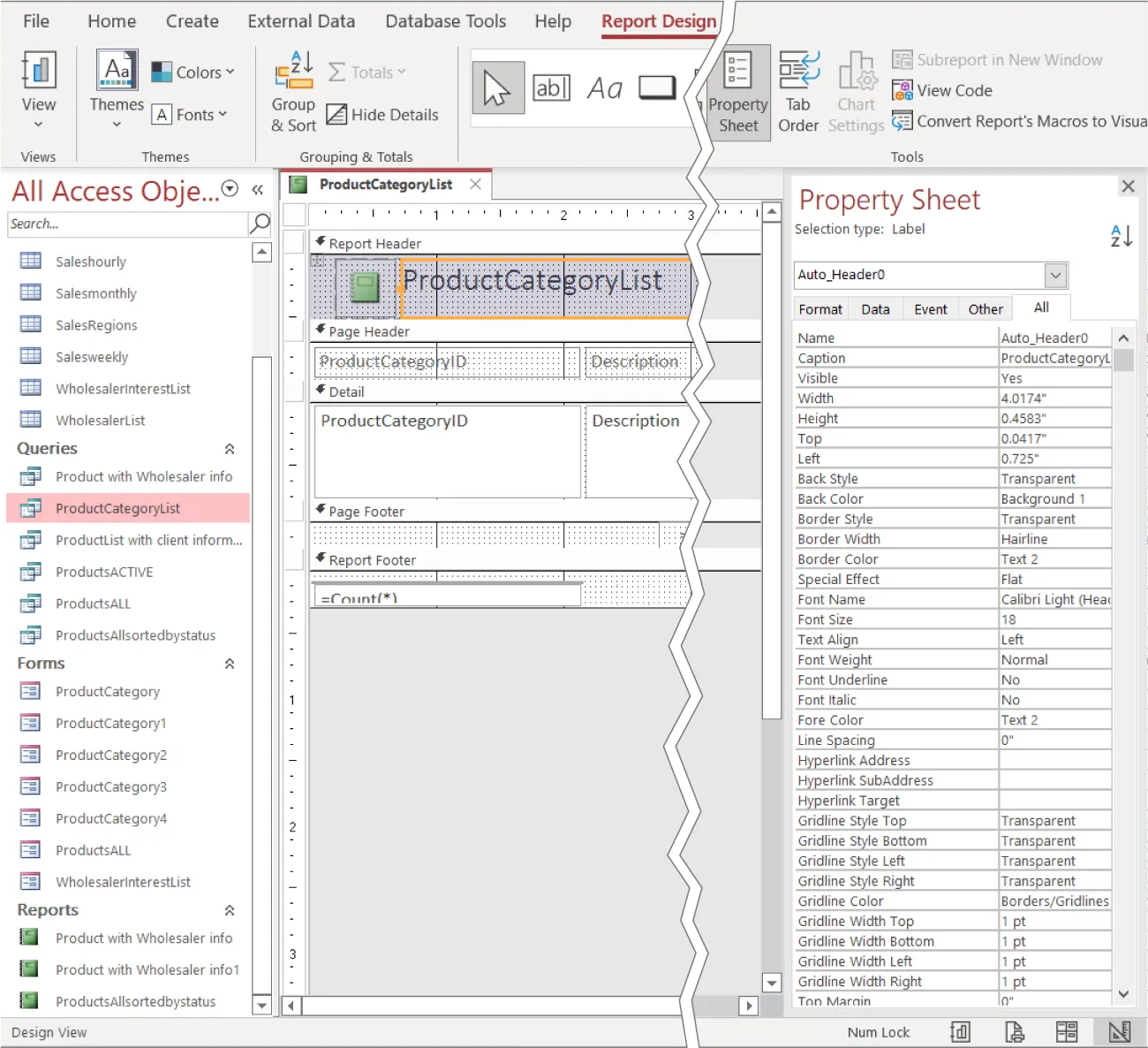 Property Sheet button selected from Tools (Report Design tab). Property sidebar visible with search bar and tabs for Format, Data, Event, Other, All (selected). Two columns populated with selections for formatting follow.