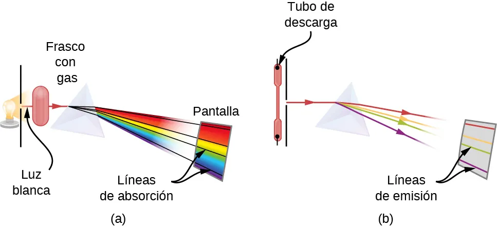 Las figuras A y B muestran el esquema de un montaje experimental para observar las líneas de absorción. En la figura A, la luz blanca pasa a través del prisma y se separa en las longitudes de onda. En el espectro de la luz que pasa faltan algunas longitudes de onda, que se ven como líneas negras de absorción en el espectro continuo en la pantalla de visualización. En la figura B, la luz emitida por el gas en el tubo de descarga pasa a través del prisma y se separa en longitudes de onda. En el espectro de la luz que pasa, solo hay longitudes de onda específicas, que se ven como líneas de emisión de colores en la pantalla.