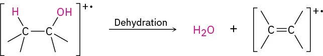 Cation radical undergoes dehydration to form water and alkene cation radical.