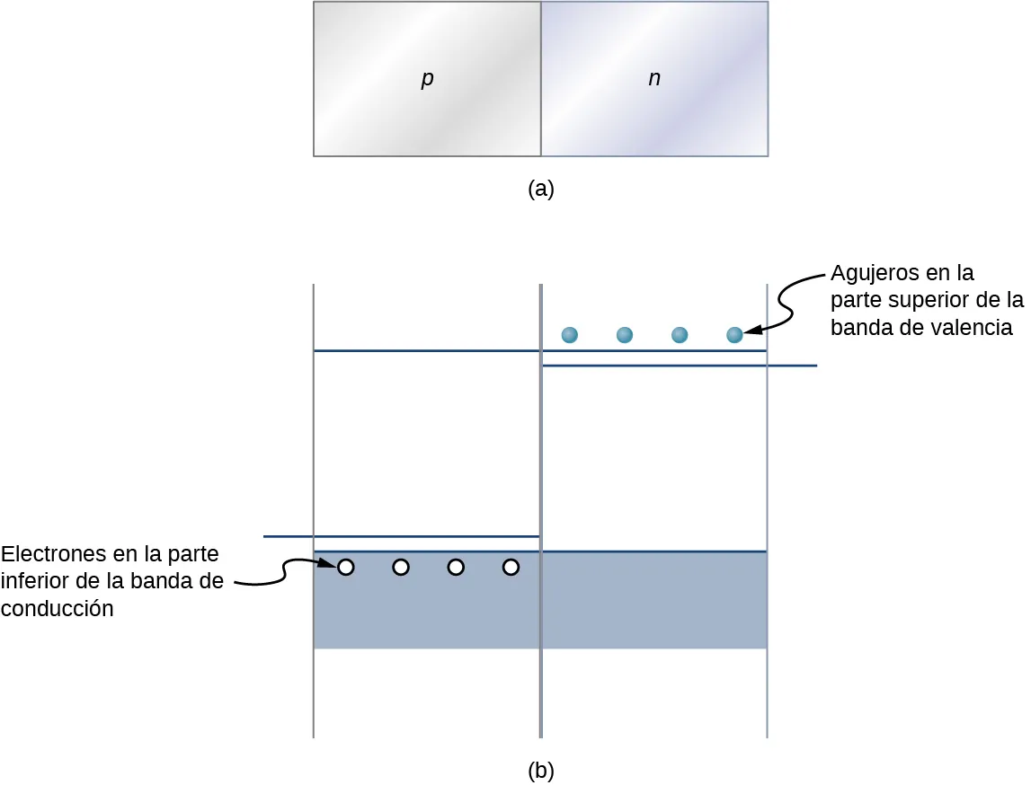 La figura a muestra dos bloques colocados uno al lado del otro, en contacto. El de la izquierda está marcado como p y el de la derecha como n. La figura b muestra una banda de valencia en la parte inferior y una banda de conducción en la parte superior. Hay agujeros dentro de la banda de valencia a la izquierda, marcados como agujeros en la parte superior de la banda de valencia. Hay electrones por encima de la línea de conducción a la derecha, marcados como electrones en la parte inferior de la banda de conducción. Las bandas de impurezas se muestran por encima de los agujeros y por debajo de los electrones.