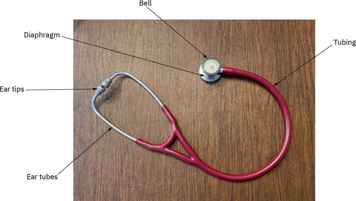 Stethoscope with parts labeled: Bell, Tubing, Diaphragm, Ear tips, Ear tubes