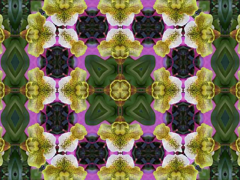 A diagram illustrates the revised version of Bloom’s Taxonomy by showing a comparison between “The Old Version” versus “The New Version.”