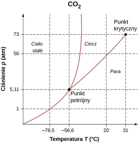 Rysunek pokazuje wykres ciśnienia dwutlenku węgla w atmosferze w odniesieniu do temperatury w stopniach Celsjusza. Krzywa rośnie ku górze i w prawo osiągając punkt potrójny, w którym ciśnienie ma 5,11 atmosfer i minus 56,6 stopni Celsjusza. Od tego miejsca krzywa się rozgałęzia. Jedno odgałęzienie biegnie niemal pionowo ku górze, drugie również ku górze w prawo osiągając punkt krytyczny. To punkt, w którym ciśnienie ma 73 atmosfery i 31 stopni Celsjusza. Obszar po lewej stronie pionowego odgałęzienia jest stały, obszar między dwoma odgałęzieniami jest ciekły, a obszar na prawo od prawego odgałęzienia jest gazowy. 
