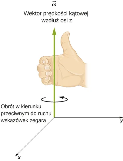 Rysunek jest wykresem pokazującym układ współrzędnych XYZ z obrotem przeciwnym do ruchu wskazówek zegara na płaszczyźnie XY. Prędkość kątowa wskazuje w dodatnim kierunku osi Z.