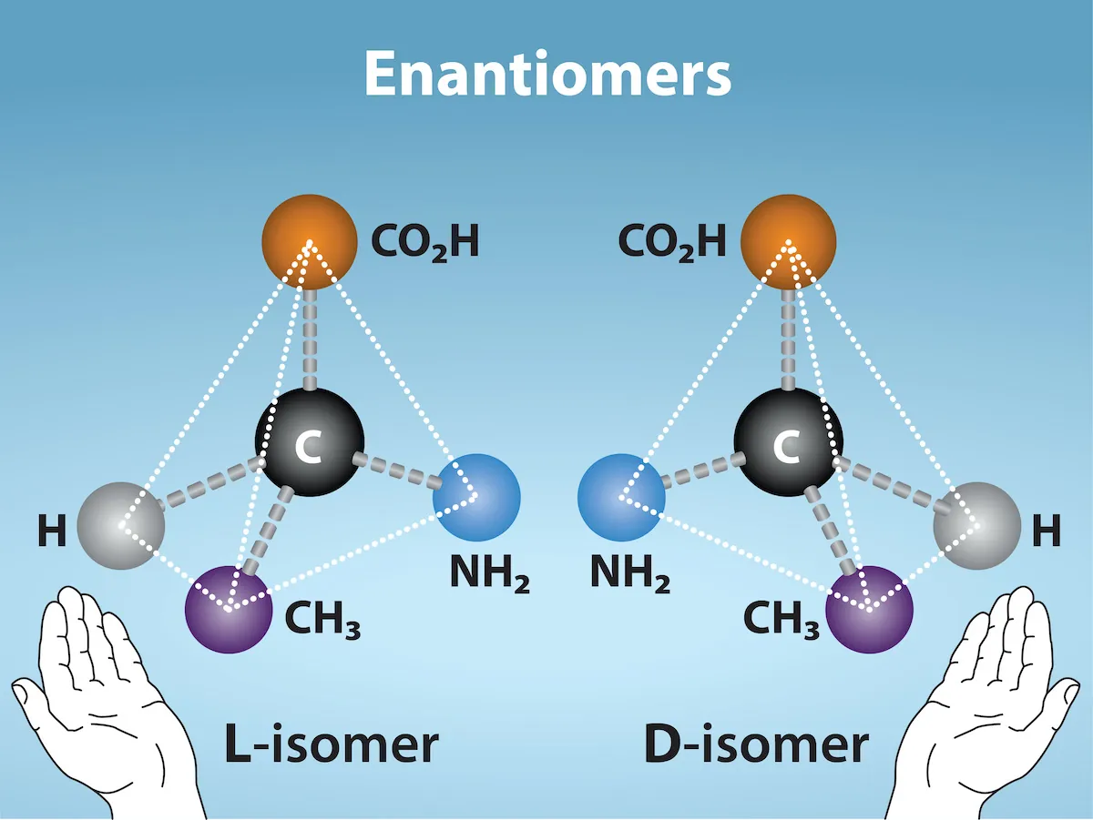 Molecular models of D-and L-alanine are shown. The two molecules, which contain the same number of carbon, oxygen, hydrogen, and nitrogen atoms, are mirror images of one another. Below the images, a left hand is shown near the L-isomer and the right hand is shown near the D-isomer.
