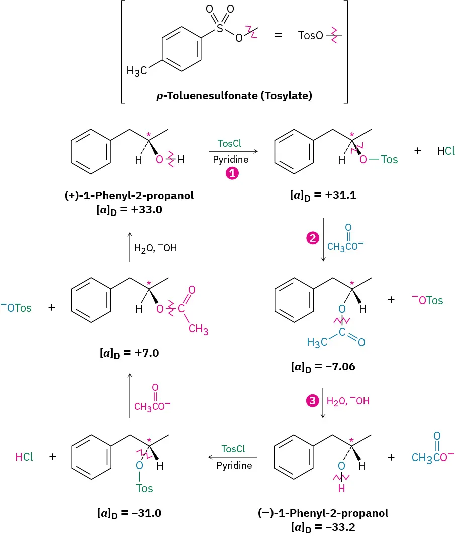A 3-step cyclic reaction. Phenyl-2-propanol (alpha D equals plus 33.0) reacts in the presence of 4-toluenesulfonyl chloride and pyridine to form 1-phenyl-2-propanol (alpha D equals minus 33.2). Asterisks denote chirality centers.