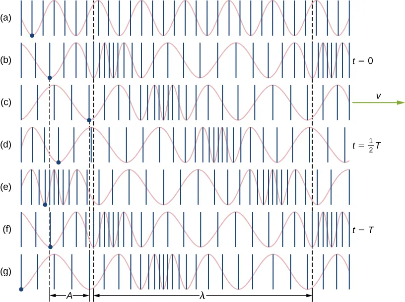 Figures a through g show different stages of a longitudinal wave passing through a spring. A blue dot marks a point on the spring. This moves from left to right as the wave propagates towards the right. In figure b at time t=0, the dot is to the right of the equilibrium position. In figure d, at time t equal to half T, the dot is to the left of the equilibrium position. In figure f, at time t=T, the dot is again to the right. The distance between the equilibrium position and the extreme left or right position of the dot is the same and is labeled A. The distance between two identical parts of the wave is labeled lambda.