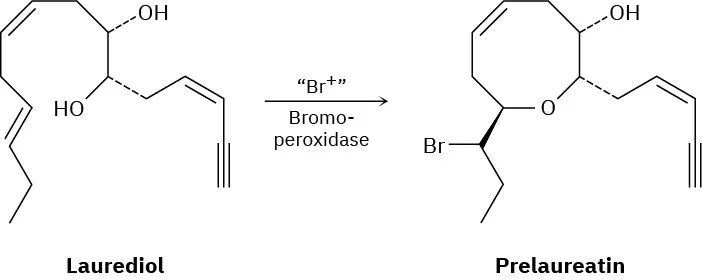 A reaction shows laurediol reacting with Br plus in the presence of bromoperoxidase to form prelaureatin.