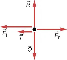 Rysunek przedstawia diagram swobodny. Siła Fr wskazuje na prawo, siła N w górę, siły Fl i f wskazują w lewo a siła w dół.