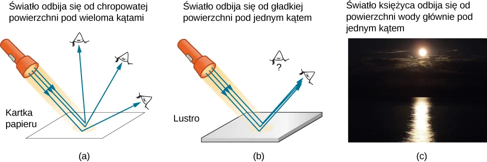 Rysunek a przedstawia światło latarki padające na kartkę papieru. Światło zostaje odbite w wielu kierunkach, ponieważ powierzchnia papieru jest chropowata. Odbite światło dociera do oczu obserwatorów w wielu miejscach. Rysunek b pokazuje promienie światła z latarki padające na lustro. Całe światło zostaje odbite pod tym samym kątem, ponieważ powierzchnia jest gładka. Odbite światło dociera tylko do oczu obserwatorów znajdujących się na drodze promieni odbitych. Obserwator patrzący na lustro pod innym kątem niż kąt odbicia nie widzi światła. Rysunek c przedstawia zdjęcie światła Księżyca padającego na wodę jeziora. Gładka powierzchnia wody odbija światło. Jasny, nieco pofalowany pas światła księżycowego kontrastuje z pogrążoną w mroku wodą.
