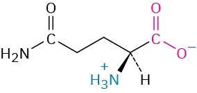 The structure of L-glutamine. It has a carbon linked to two methylene connected to amide, carboxylate ion, dashed hydrogen, and wedged ammonia ion.