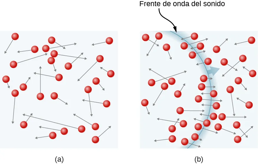 En la parte a de la figura los círculos representan moléculas distribuidas en un gas. Una flecha en cada círculo representa el vector velocidad de la molécula. Las ubicaciones de las moléculas y sus magnitudes y direcciones de velocidad están distribuidas al azar. En la parte b de la figura, un arco representa el frente de onda de una onda sonora en el gas. Las velocidades de las moléculas cercanas al arco están orientadas de forma casi perpendicular al arco, y por tanto paralelas a la dirección de propagación de la onda.