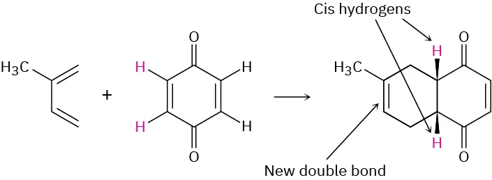 A 4-carbon chain with two mutually cis double bonds and methyl at C 2 reacts with cyclohexadiene with two carbonyl groups at C 1 and C 4. The product has two cis hydrogens.
