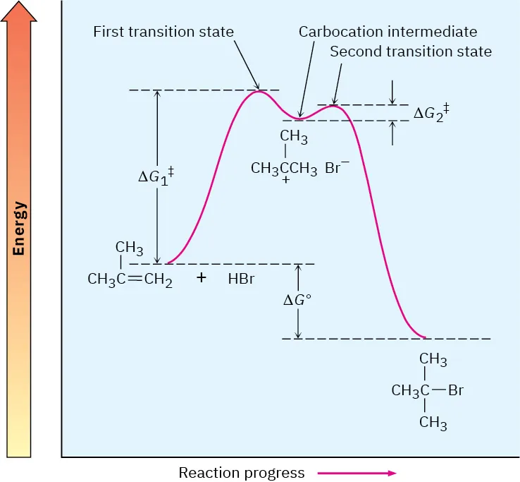 An energy diagram for two-step reaction of 2-methylpropene with H Br. First transition state has higher energy than second, and intermediate is a carbocation. Product more stable than reactant.