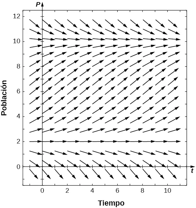 Un campo de direcciones con flechas que apuntan horizontalmente hacia la derecha a lo largo de y = 2 y y = 10. Para P < 2, las flechas apuntan hacia abajo y hacia la derecha. Para 2 < P < 10, las flechas apuntan hacia arriba y hacia la derecha. Para P > 10, las flechas apuntan hacia abajo y hacia la derecha. Cuanto más lejos están las flechas de 2 y 10, más inclinadas se vuelven, y cuanto más cerca están de 2 y 10, más horizontales se vuelven.