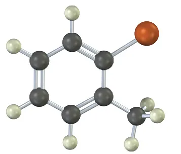 The ball-and-stick model has a benzene ring. C 1 is bonded to a large red sphere. C 2 is bonded to a methyl group.