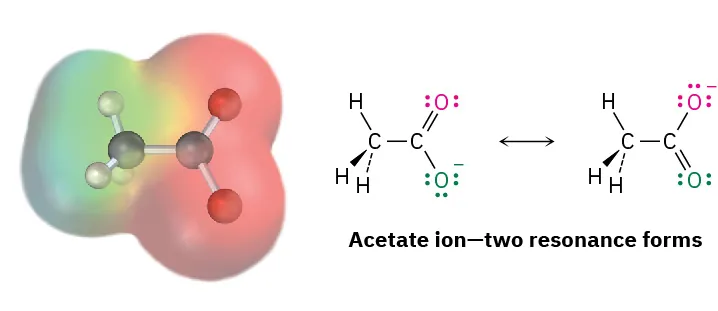 Ball-and-stick model and electron potential map of acetate anion. Both resonance forms are also shown, where a different oxygen has a single bond and negative charge in each form.