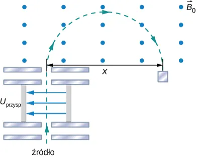 Schemat spektrometru masowego. Źródło jest u spodu. Cząstki są przyspieszane przez różnicę potencjałów V acc, następnie dodstają się do rejonu, w którym znajduje się tylko jednorodne pole magnetyczne B zero, W tym rejonie cząstki podążają zgodnie z ruchem wskazówek zegara po półkolistej trajektorii o promieniu r.