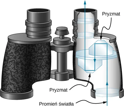 Ilustracja przedstawia przekrój przez lornetkę z widocznymi pryzmatami. Światło wpada przez jeden z obiektywów, ulega dwukrotnemu całkowitemu wewnętrznemu odbiciu w pierwszym pryzmacie, z którego wychodzi równolegle do promienia wchodzącego, lecz w przeciwnym kierunku. Natychmiast wpada do drugiego pryzmatu, gdzie znów ulega dwukrotnemu odbiciu, po czym dociera do oczu obserwatora przez soczewki okularu.