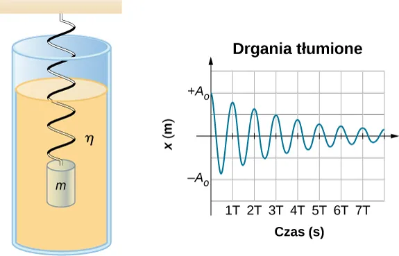 Rysunek przedstawia masę zawieszoną pionowo na sprężynie i zanurzoną w cieczy o lepkości eta. Pokazany obok wykres drgań tłumionych przedstawia na osi pionowej wychylenie x w metrach jako funkcję czasu w sekundach oznaczanego na osi poziomej. Zakres ruchów to minus A sub zero do plus A sub zero. Skala czasu jest oznaczona od zera do 7 T, z podziałką co T. W chwili zero odchylenie wynosi plus A sub zero a masa oscyluje między dodatnimi maksimami a ujemnymi minimami, przy czym każdy pełny cykl jest wykonywany w takim samym czasie T, ale amplituda oscylacji maleje w czasie.
