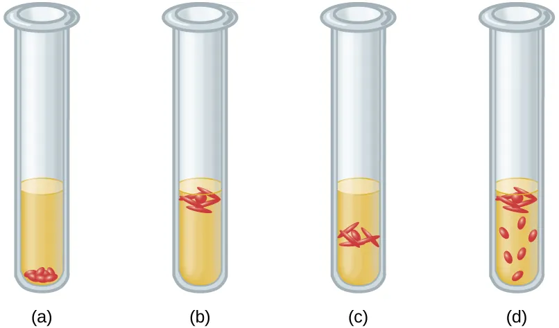 A) Cells are all at the bottom of the tube. b) Cells are all at the top of the tube. C) Cells are all just under the top of the tube. D) Cells are throughout the tube but more prominent at the top.