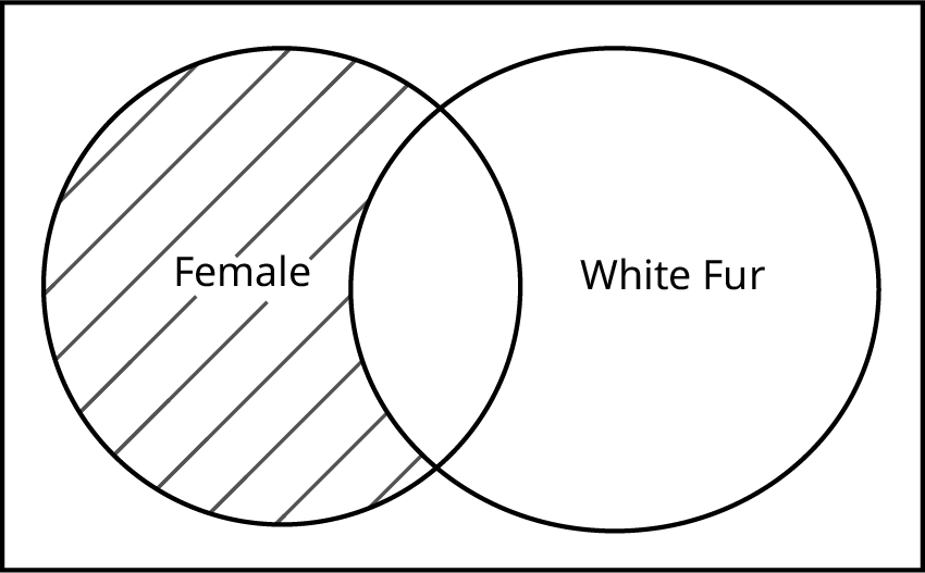 This is a Venn diagram, two overlapping circles inside a rectangle. The left circle is labeled Female. The right circle is labeled White Fur. The section of the left Female circle that lies outside the White Fur circle is shaded.
