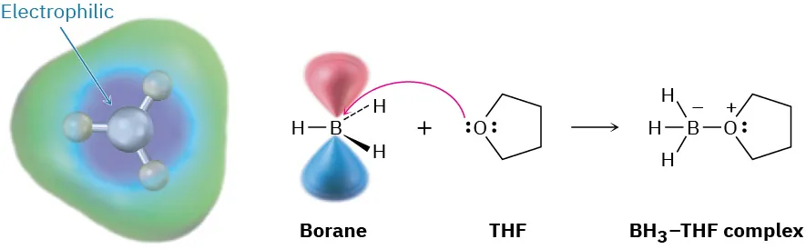 A reaction mechanism shows borane reacting with tetrahydrofuran to form B H 3-T H F complex. To the left, electrostatic potential map of borane is depicted.