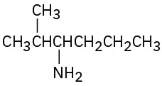 The structure of a six-carbon chain with methyl on C 2 and amine on C 3 position.