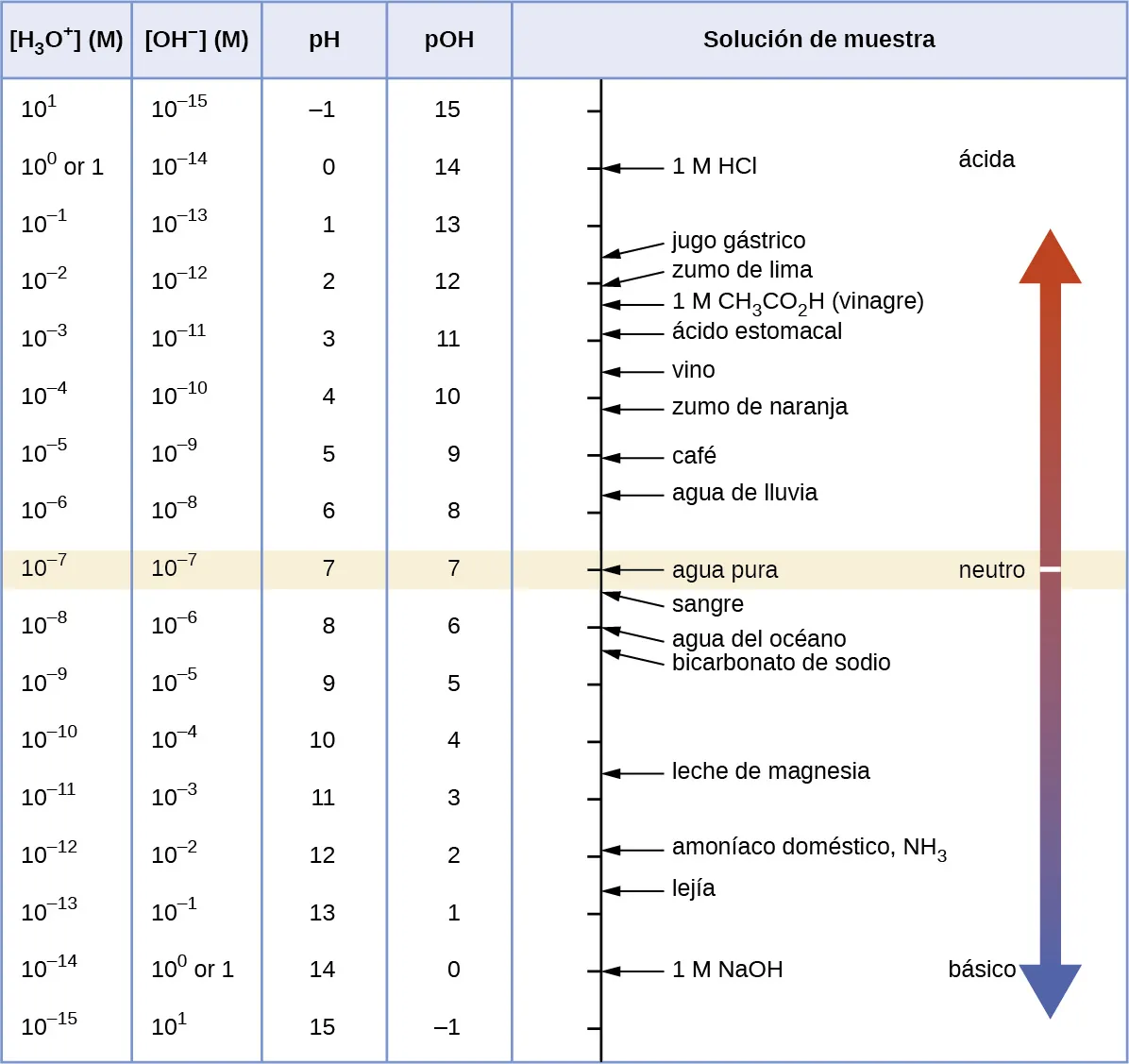 Se proporciona una tabla con 5 columnas. La primera columna está etiquetada como "corchete izquierdo H subíndice 3 O superíndice signo más corchete derecho (M)". Las potencias de diez se enumeran en la columna que comienza en 10 superíndice 1, incluyendo 10 superíndice 0 o 1, 10 superíndice negativo 1, disminuyendo por potencias simples de 10 hasta 10 superíndice negativo 15. La segunda columna está etiquetada como "corchete izquierdo O H superíndice signo negativo corchete derecho (M)". Las potencias de diez se enumeran en la columna que comienza en 10 superíndice negativo 15, aumentando por potencias simples de 10 hasta incluir 10 superíndice 0 o 1, y 10 superíndice 1. La tercera columna está etiquetada como "p H". Los valores que aparecen en esta columna son números enteros que comienzan en el 1 negativo y aumentan en unidades hasta el 14. La cuarta columna está etiquetada como "p O H". Los valores de esta columna son números enteros que comienzan en 15 y disminuyen en unidades hasta el 1 negativo. La quinta columna está etiquetada como "Solución de la muestra". Una línea vertical a la izquierda de la columna tiene marcas de verificación correspondientes a cada nivel de p H en la tabla. Las sustancias se enumeran junto a este segmento de línea con segmentos de línea que las conectan a la línea para mostrar los valores aproximados de p H y p O H. 1 M H C l aparece con un p H de 0. Los jugos gástricos figuran con un p H de aproximadamente 1,5. El zumo de lima aparece con un p H de aproximadamente 2, seguido de 1 M C H subíndice 3 C O subíndice 2 H, seguido del ácido del estómago con un valor p H de casi 3. El vino aparece en torno a 3,5. El café aparece justo después de 5. El agua pura tiene un p H de 7. La sangre pura está más allá del 7. La leche de magnesia aparece justo después de un p H de 10,5. El amoníaco doméstico aparece justo antes de un pH de 12. 1 M N a O H aparece con un p H de 0. A la derecha de esta flecha etiquetada hay una flecha que apunta hacia arriba y hacia abajo a través de la altura de la columna. Una franja de color beige atraviesa la tabla y esta flecha de doble punta en p H 7. A la izquierda de la flecha de doble punta en esta franja beige aparece la etiqueta "neutra". Una franja estrecha de color beige atraviesa la flecha. Justo por encima y por debajo de esta región, la flecha es de color púrpura. Pasa gradualmente a un rojo brillante a medida que se extiende hacia arriba. En la parte superior de la flecha, cerca de la punta de la flecha aparece la etiqueta "ácida". Del mismo modo, la región inferior cambia de color de púrpura a azul a medida que se extiende hacia la parte inferior de la columna. La punta de este extremo de la flecha está marca como "básica".