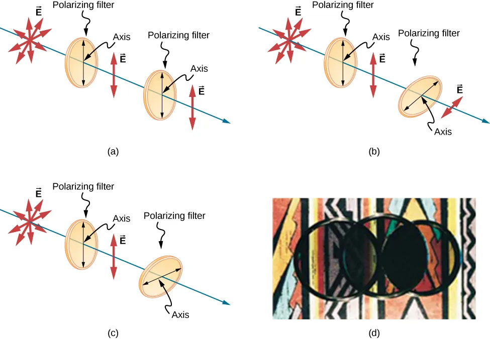 This figure shows three illustrations of randomly polarized light passing through two polarizing filters, one after the other, in various orientations. In figure a, the two filters have axes oriented parallel to each other, in b the axis of the second filter is at an intermediate angle, between zero and ninety degrees, to the first’s, and in c the axis of the second filter is perpendicular to the first’s. Figure d is a photograph of the actual result of the first (parallel) and last (perpendicular) arrangements. In all the arrangements, the source light is randomly polarized, indicated by vector E arrows pointing in every direction in a plane perpendicular to the direction of propagation of the ray. In all the arrangements, the light that passed through the first filter, whose axis is oriented vertically, is vertically polarized, indicated by E vector arrows that only point vertically up and down. In figure a, all of the polarized light is passed by the second polarizing filter,  whose axis is parallel to the first, and is still vertically polarized. In figure b, only some of the light is passed by the second polarizing filter,  whose axis is tilted relative to the first. The light that passed the second filter is polarized in the direction of the second filter’s axis, and the magnitude of E is reduced. In figure c, where the filter axes are perpendicular to each other, none of the light passes through the second filter. Figure c shows a photo of three circular optical filters placed over a bright colorful pattern. Two of these filters are place next to each other and the third is placed on top of the other two so that the center of the third is at the point where the edges of the two filters underneath touch. Some light passes through where the upper filter overlaps the left-hand underneath filter. No light passes through where the upper filter overlaps the right-hand lower filter.