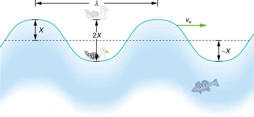 The figure shows an idealized ocean wave with two crests and two troughs that passes under a sea gull that bobs up and down in simple harmonic motion. The wave has a wavelength lambda which is the distance between adjacent identical parts of the wave. The height of a crest is equal to the depth of the trough that is X, therefore the total vertical distance between the top of a crest and the bottom of the trough is two-X.