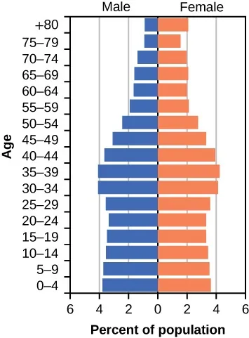 An age structure diagram is shown on a graph.  The x axis is labeled percent of population, the y axis is labeled in increments of 4, starting from 0–4 and ending at 80+, designating age groups of the population.  The left side is male and the right side is female.  The population starts at about 4% of males and females age 0–4, tapers in slightly and budges out for ages 30–34 and 34–39, going beyond 4%.  Then, the percentages taper down until 80+, where the male is about 1% and the females remain at 2%, which is a slightly higher number than their population at 75–79.  The Female population after about 40–44 is stays at a slightly higher population percentage than the males.