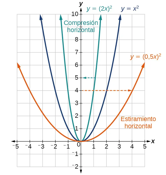 Gráfico del estiramiento y de la compresión vertical de x^2.
