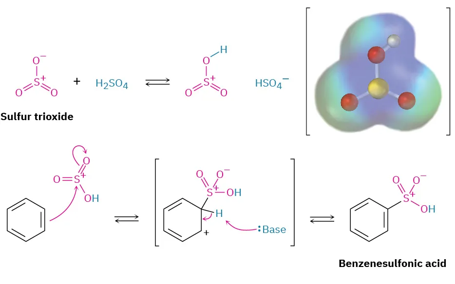 A three-step reversible reaction shows benzene reacting with intermediate formed from sulfur trioxide and sulfuric acid to form benzenesulfonic acid. Ball-and-stick model in electrostatic potential map of intermediate is depicted.