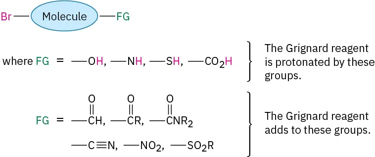 A molecule connected to bromine and functional group. Grignard reagent is protonated by alcohol, amine, thiol, and carboxylic acid. It adds to aldehyde, ester, amide, nitrile, nitro and sulfonate group.