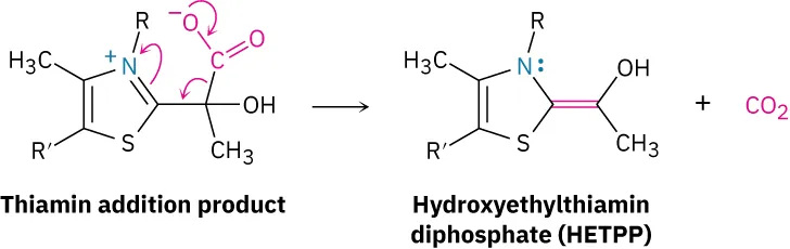 Thiamin addition product undergoes decarboxylation reaction that leads to the formation of hydroxyethylthiamin diphosphate and carbon dioxide as the product.