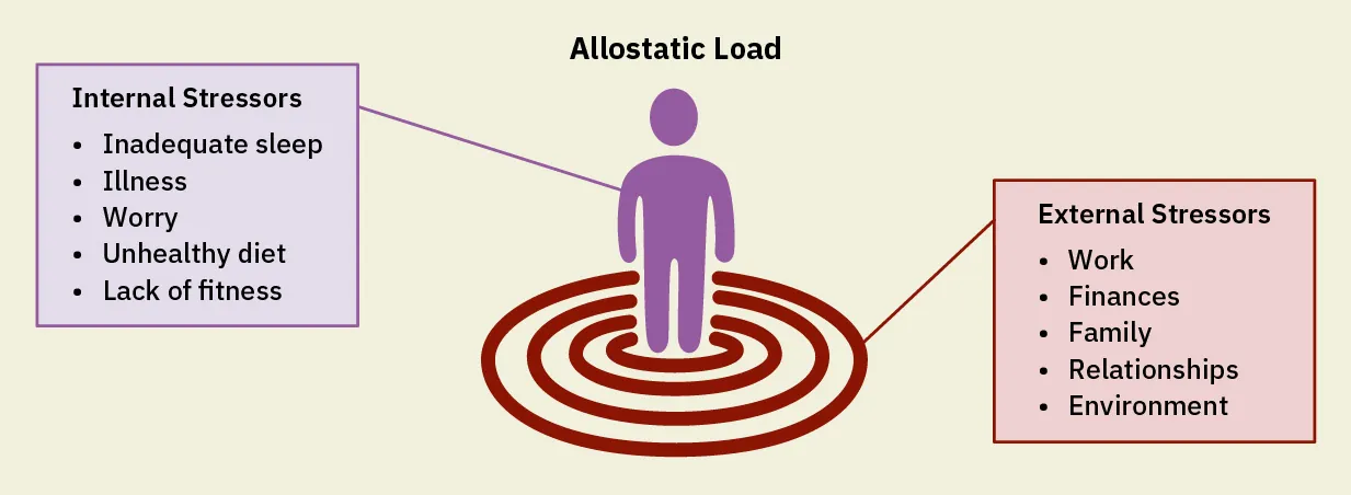 Illustration of Allostatic Load Internal Stressors (Inadequate sleep, Illness, Worry, Unhealthy diet, Lack of fitness) and External Stressors (Work, Finances, Family, Relationships, Environment).