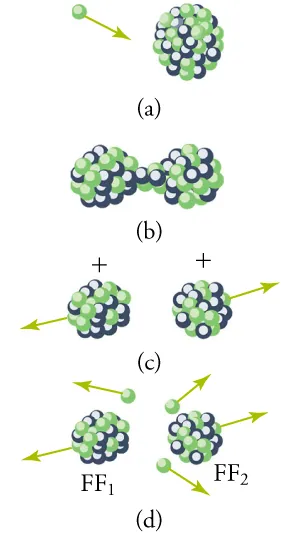 Part (a) shows a neutron approaching a nucleus (with several protons and neutrons). Part (b) shows the deformation of the nucleus after the approaching neutron is absorbed. Part (c) shows two smaller nuclei formed from the original nucleus. Part (d) shows the neutrons released as two nuclei are formed after fission.