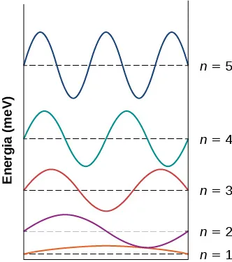 Pokazane są funkcje falowe dla stanów n=1 do n=5, w których elektron znajduje się w nieskończonym obszarze. Każda z funkcji ma pionowo rozmieszczoną swą energię, mierzoną w m e V. W stanie n=1 pierwsza połowa fali jest funkcją sinus. W stanie n=2 funkcja jest najpierw pełną falą funkcji sinus. W stanie n=3 funkcji jest najpierw jedną falą a na końcu połową fali funkcji sinus. W stanie n=4 funkcja to najpierw dwie fale funkcji sinus. W stanie n=5 funkcja to najpierw są dwie a potem pół fali funkcji sinus.