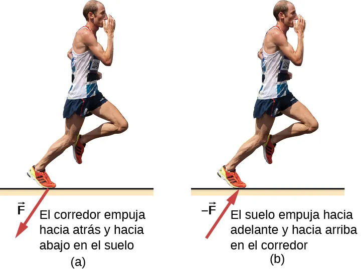 La Figura a muestra la imagen de un corredor que empuja hacia atrás y hacia abajo sobre el suelo. La flecha, marcada como F desde su pie, apunta hacia abajo y hacia la izquierda. La Figura b está marcada, el suelo empuja hacia delante y hacia arriba al corredor. La flecha marcada como -F apunta hacia arriba y a la derecha, hacia su pie.