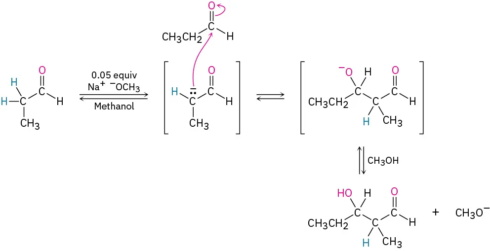 The reversible reaction of propanal with sodium methoxide in methanol shows two intermediates. The subsequent reaction of these intermediates produces 3-hydroxy-2-methylpentanal (aldol) and methoxide.