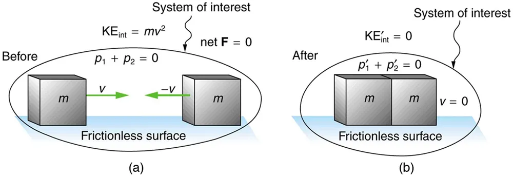 The system of interest contains two equal masses with mass m. One moves to the right and the other moves to the left with the same magnitude of velocity represented by V. Due to this their total momentum and net force remains zero. The internal kinetic energy is mv power 2. After collision the system of interest has no net velocity, no total momentum and no internal kinetic energy. This is true for all inelastic collisions.
