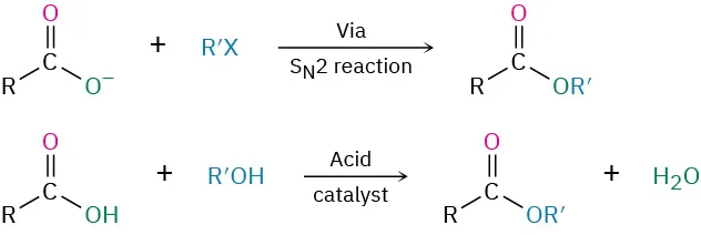 At the top, reaction of a carboxylate ion with an alkyl halide to give an ester through an S N 2 mechanism. At the bottom, reaction of a carboxylic acid with an alcohol to yield an ester.