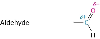 Aldehyde has a carbon with an open single bond and a partial positive charge single bonded to hydrogen and double bonded to oxygen with a partial negative charge.