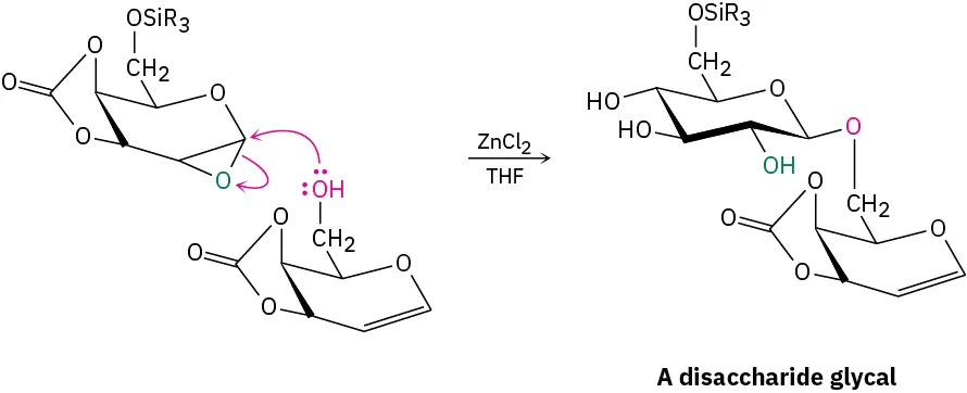 Glycal epoxide when reacts with a second glycal having a free hydroxyl group with zinc chloride as a catalyst yields a disaccharide glycal.